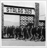 Stalag325 1